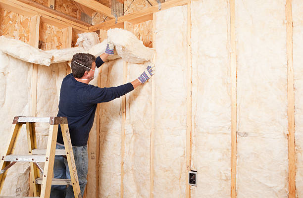 Eco-Friendly Insulation Solutions in Midvale, UT