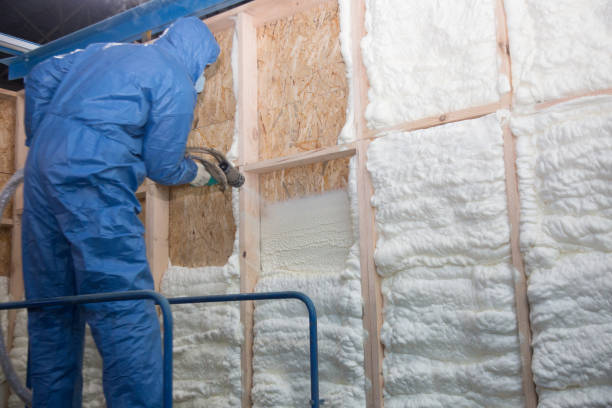 Best Eco-Friendly Insulation Solutions  in Midvale, UT